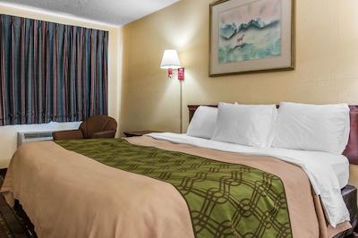 اکنو لج لکسینگتون