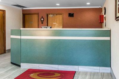 اکنو لج لکسینگتون