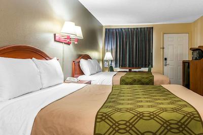 اکنو لج لکسینگتون