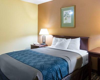 اکنو لج تون سنتر