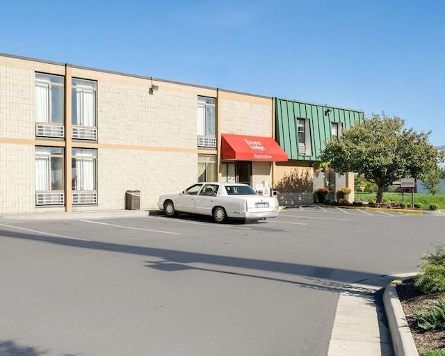 اکنو لج نرد