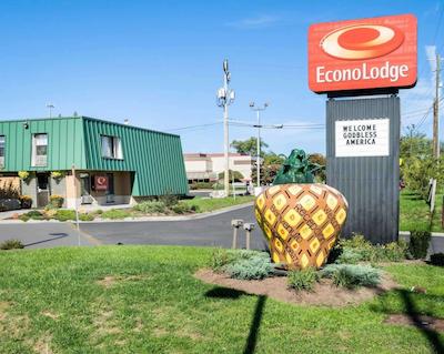 اکنو لج نرد