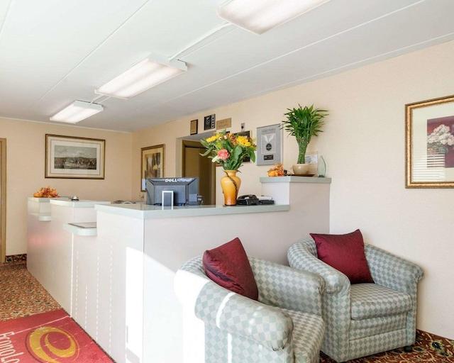 اکنو لج نرد