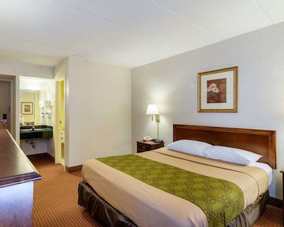 اکنو لج نرد