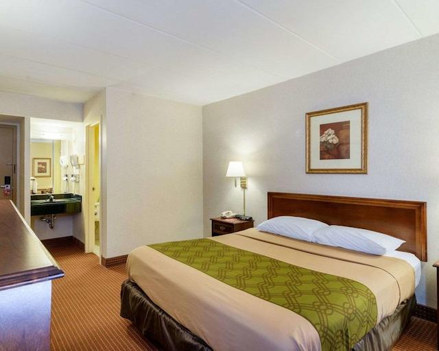 اکنو لج نرد