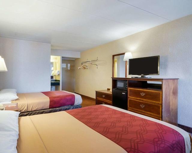 اکنو لج نرد