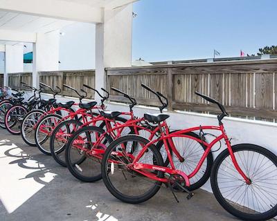 اکنو لج اُن د اُسین