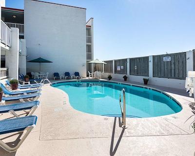 اکنو لج اُن د اُسین