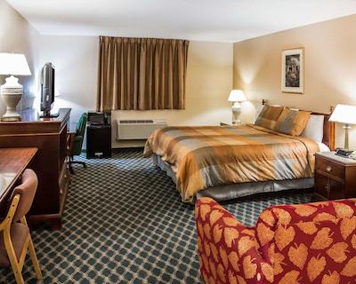 اکنو لج سدار راپیدز