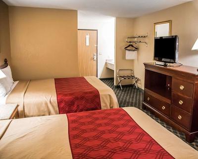 اکنو لج سدار راپیدز