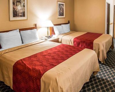 اکنو لج سدار راپیدز