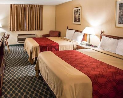 اکنو لج سدار راپیدز