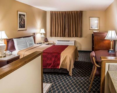 اکنو لج سدار راپیدز