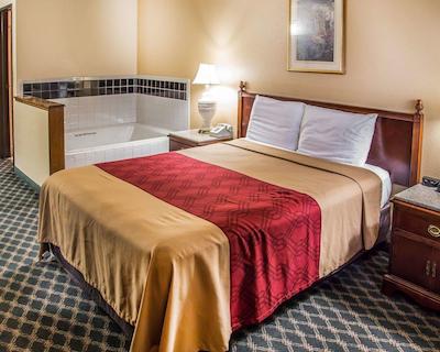 اکنو لج سدار راپیدز