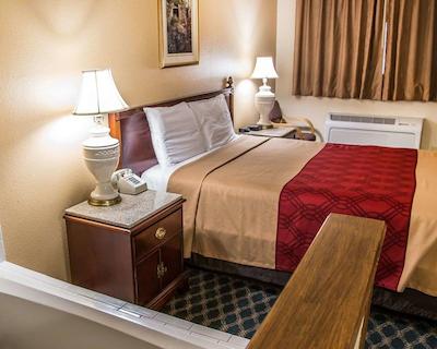 اکنو لج سدار راپیدز