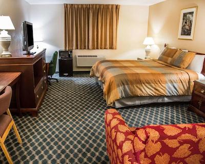 اکنو لج سدار راپیدز