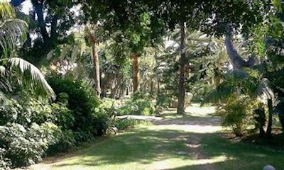 دن کارلز لیسور ریزرت اند اسپا