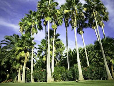 دن کارلز لیسور ریزرت اند اسپا