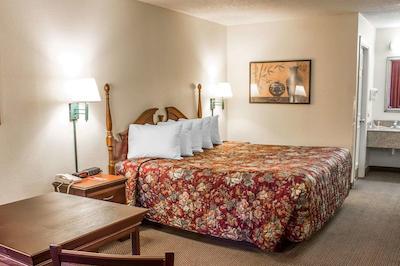 اکنو لج فتویل