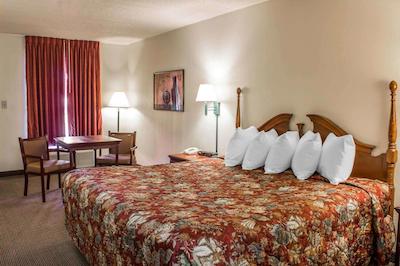 اکنو لج فتویل