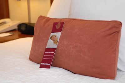 هامپتون این اند سویتز فردریک-فرت دتریک