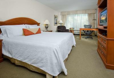 هیلتون گاردن این دترویت/دونتون