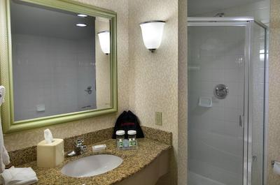 هیلتون گاردن این دترویت/دونتون