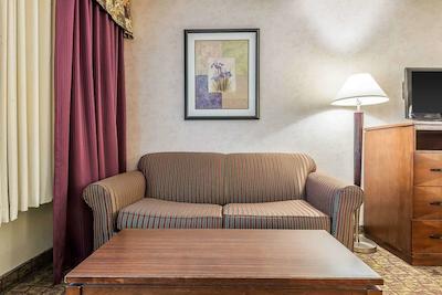 کوالیتی این هامبورگ