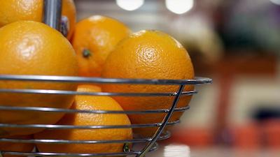 بست وسترن پلاس سیستا کی گاتو