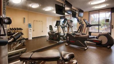 بست وسترن پلاس سیستا کی گاتو