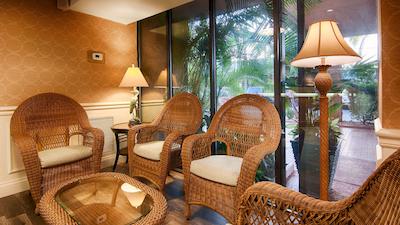 بست وسترن پلاس سیستا کی گاتو