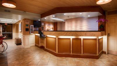 بست وسترن پلاس سیستا کی گاتو