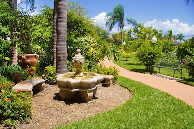 بست وسترن پلاس سیستا کی گاتو