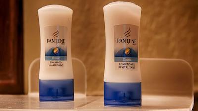 بست وسترن پلاس سیستا کی گاتو