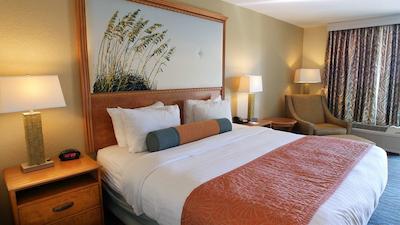 بست وسترن پلاس سیستا کی گاتو