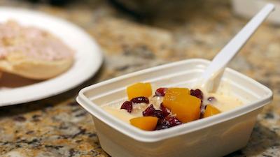 بست وسترن پلاس سیستا کی گاتو