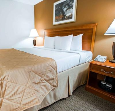 کلارین هتل کنفرنس سنتر-نرد