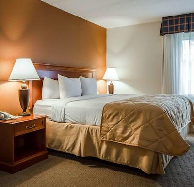 کلارین هتل کنفرنس سنتر-نرد