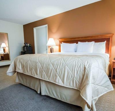 کلارین هتل کنفرنس سنتر-نرد