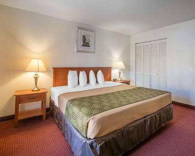 اکنو لج آیرپرت ات رج استادیوم