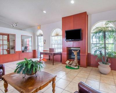 اکنو لج آیرپرت ات رج استادیوم