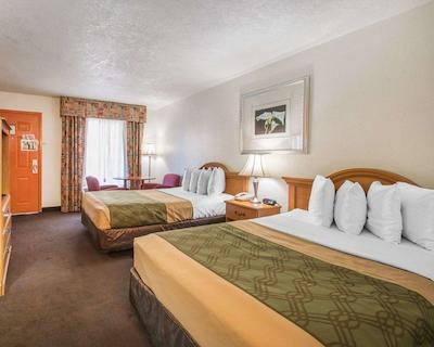 اکنو لج آیرپرت ات رج استادیوم