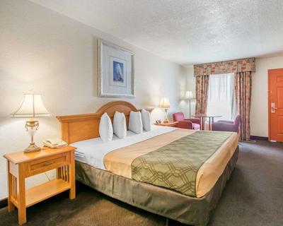 اکنو لج آیرپرت ات رج استادیوم