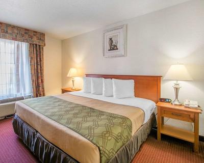 اکنو لج آیرپرت ات رج استادیوم