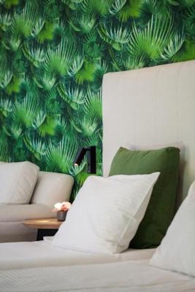 اناتیا پالاس