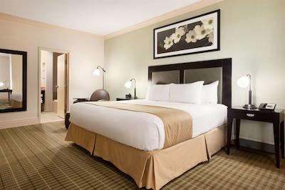 دوبلتری بای هیلتون هتل دالاز-لو فیلد