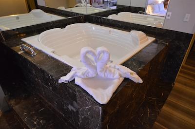 هلید این اکسپرز تلدو اُرگون