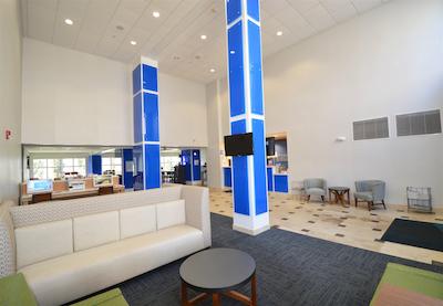 هلید این اکسپرز تلدو اُرگون