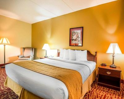 کوالیتی این لکسینگتون