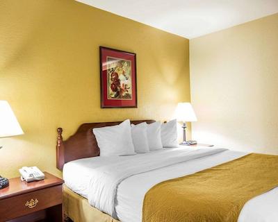 کوالیتی این لکسینگتون